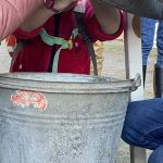 img_9191