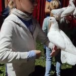 img_20221011_094340