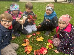 img-20251014-wa0011